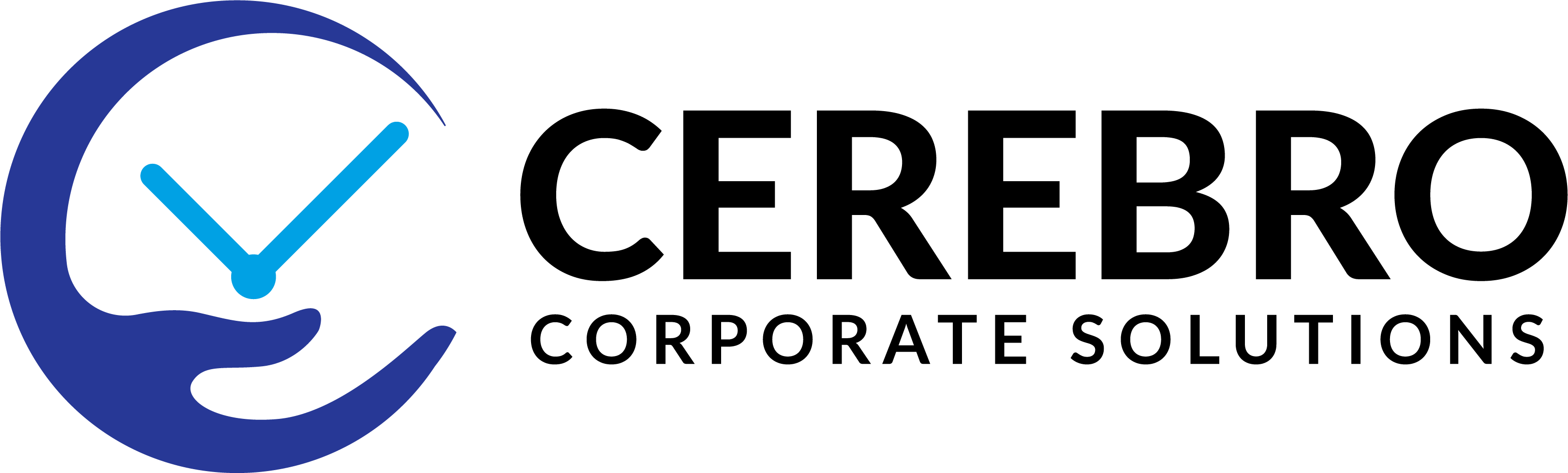 Cerebro Llp Cerebro Llp